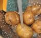 Как очистить картофель от кожуры Как быстро почистить картошку сырую ножом